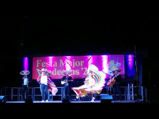 Mariachis